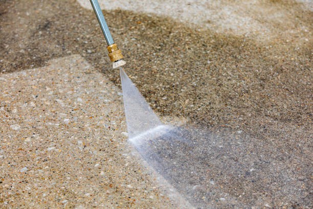 Animal Enclosure Cleaning in Fox Point, WI